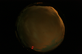 ASC_20051101_201220UT_s.png