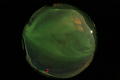 ASC_20070222_221834UT_s.png