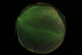 ASC_20070222_222934UT_s.png