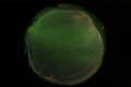 ASC_20070222_223504UT_s.png