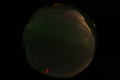 ASC_20070222_234036UT_s.png