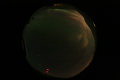 ASC_20070222_235036UT_s.png