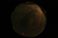 ASC_20070223_002936UT_s.png