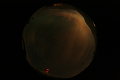 ASC_20070223_005536UT_s.png