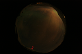 ASC_20070223_005836UT_s.png