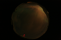 ASC_20070223_005936UT_s.png