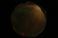 ASC_20070223_010136UT_s.png