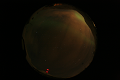 ASC_20070223_010236UT_s.png