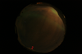 ASC_20070223_010306UT_s.png