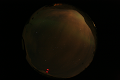 ASC_20070223_010436UT_s.png