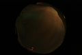 ASC_20070223_010506UT_s.png