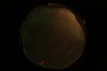 ASC_20070223_010606UT_s.png