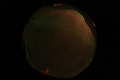 ASC_20070223_010736UT_s.png