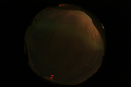ASC_20070223_011036UT_s.png