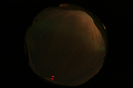 ASC_20070223_011136UT_s.png