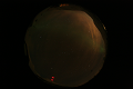 ASC_20070223_011436UT_s.png
