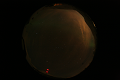 ASC_20070223_011606UT_s.png