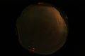 ASC_20070223_011636UT_s.png