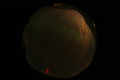 ASC_20070223_011736UT_s.png