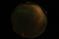ASC_20070223_012336UT_s.png