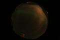 ASC_20070223_012406UT_s.png