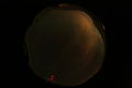 ASC_20070223_012436UT_s.png