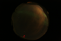 ASC_20070223_012506UT_s.png