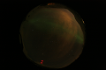 ASC_20070223_012806UT_s.png