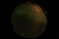 ASC_20070223_012836UT_s.png