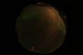 ASC_20070223_012906UT_s.png
