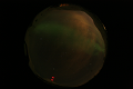 ASC_20070223_013006UT_s.png