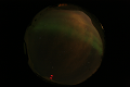 ASC_20070223_013036UT_s.png