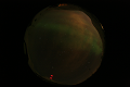 ASC_20070223_013106UT_s.png