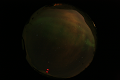 ASC_20070223_013136UT_s.png