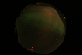ASC_20070223_013236UT_s.png