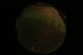ASC_20070223_013306UT_s.png