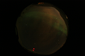 ASC_20070223_013336UT_s.png