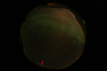 ASC_20070223_013406UT_s.png