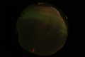 ASC_20070223_013636UT_s.png