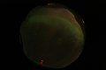 ASC_20070223_013806UT_s.png