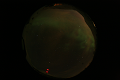 ASC_20070223_013836UT_s.png