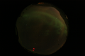 ASC_20070223_013906UT_s.png