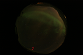 ASC_20070223_013936UT_s.png