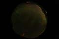 ASC_20070223_014006UT_s.png