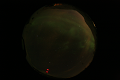 ASC_20070223_014036UT_s.png