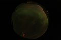 ASC_20070223_014106UT_s.png