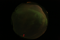 ASC_20070223_014136UT_s.png