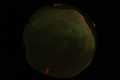 ASC_20070223_014206UT_s.png