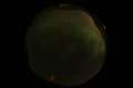 ASC_20070223_014236UT_s.png