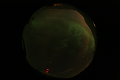ASC_20070223_014306UT_s.png